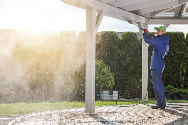 Best Rust Removal  in Apalachin, NY